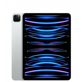 iPad Pro 4 11" 1TB WiFi + Cellular