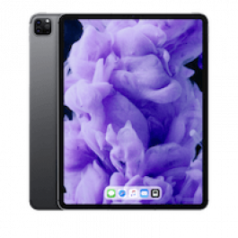 iPad Pro 4 12.9" 1TB WiFi + Cellular